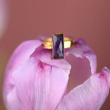 Load image into Gallery viewer, Amethyst  Rectangle Ring on a Hand Hammered Golden Band: 6
