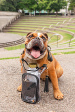 Load image into Gallery viewer, Clear HydroBag® Stadium with Black Trim and Matching Pouch
